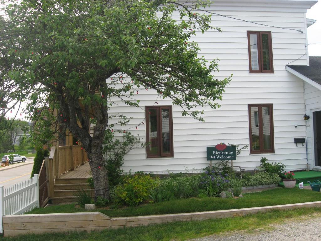 Gite Au Vieux Pommier Tadoussac Kültér fotó