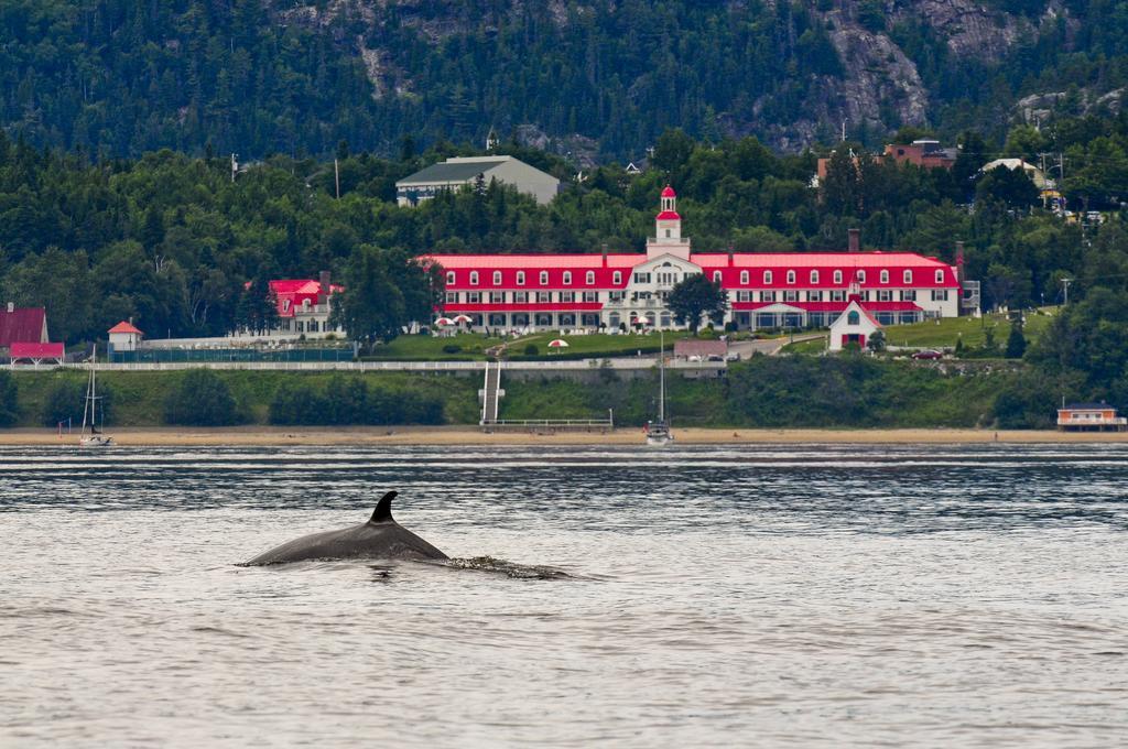 Gite Au Vieux Pommier Tadoussac Kültér fotó