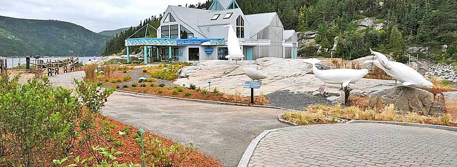 Gite Au Vieux Pommier Tadoussac Kültér fotó