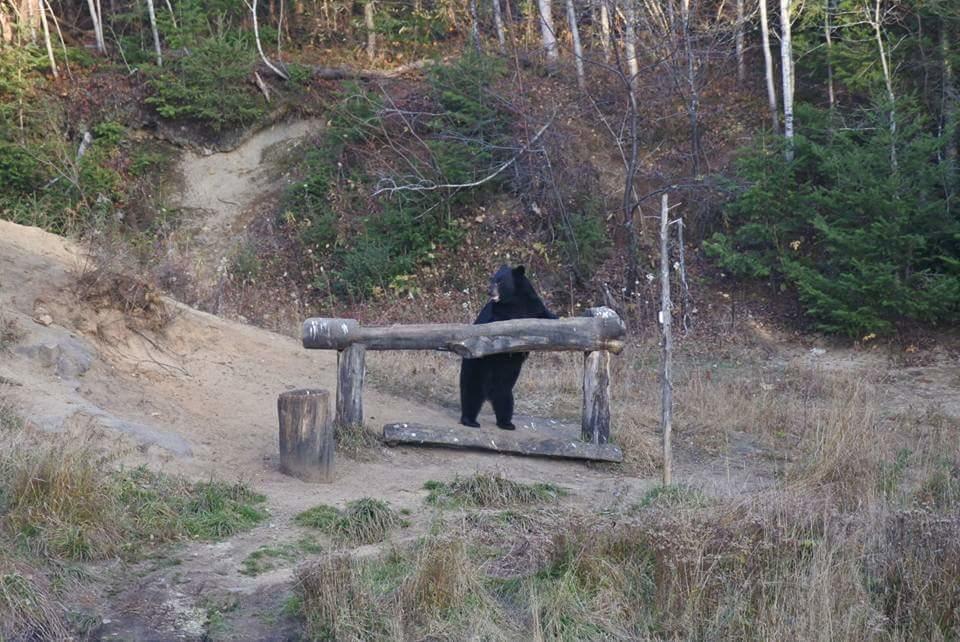 Gite Au Vieux Pommier Tadoussac Kültér fotó