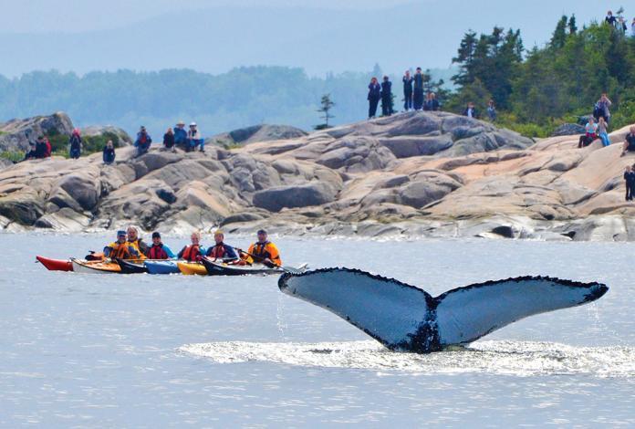 Gite Au Vieux Pommier Tadoussac Kültér fotó