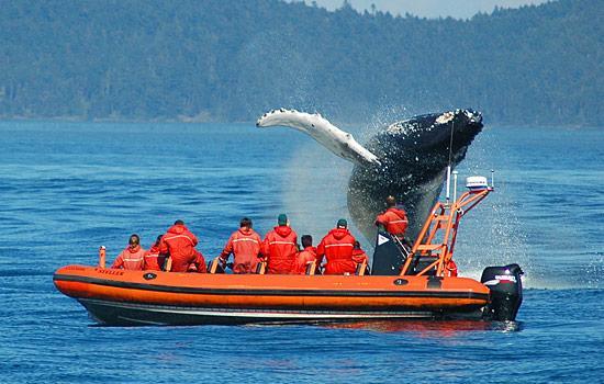Gite Au Vieux Pommier Tadoussac Kültér fotó